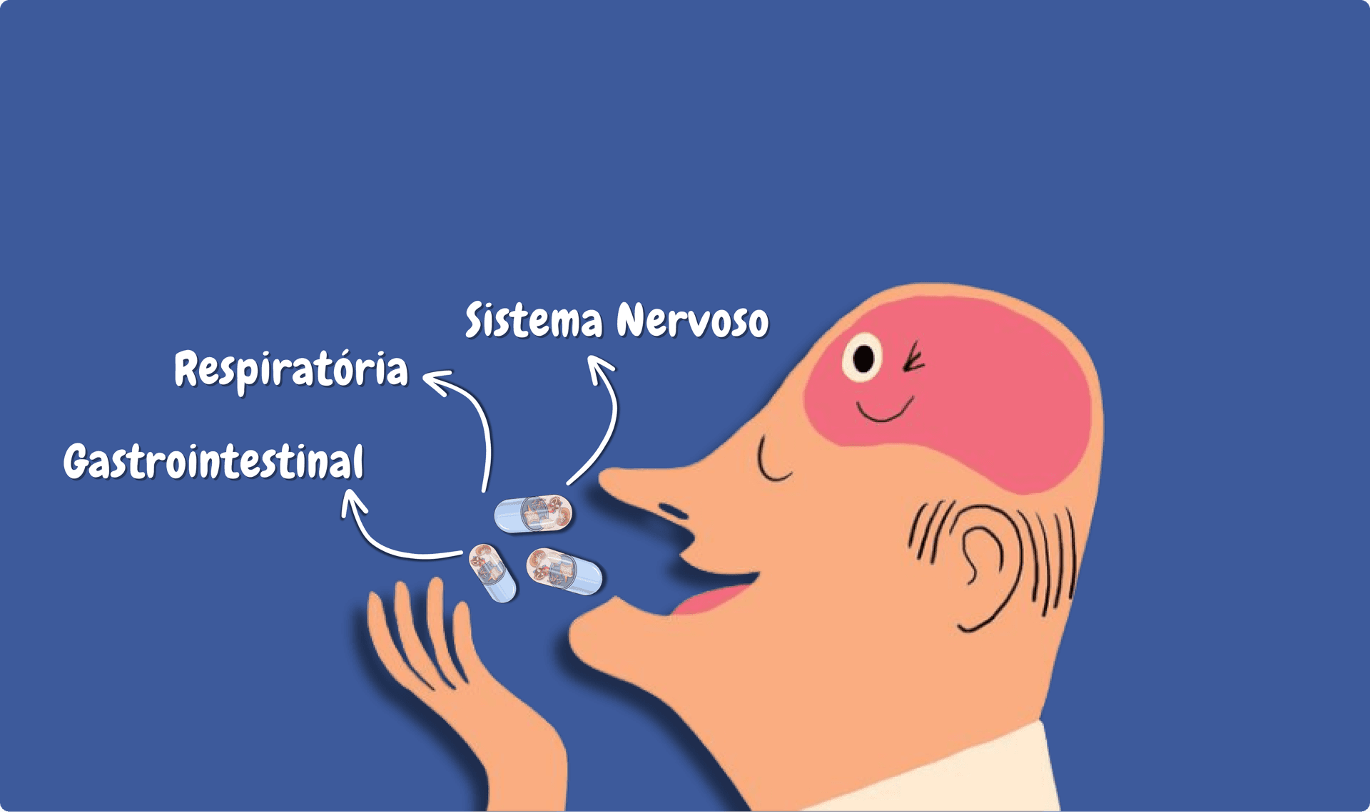 Sistema Nervoso Central